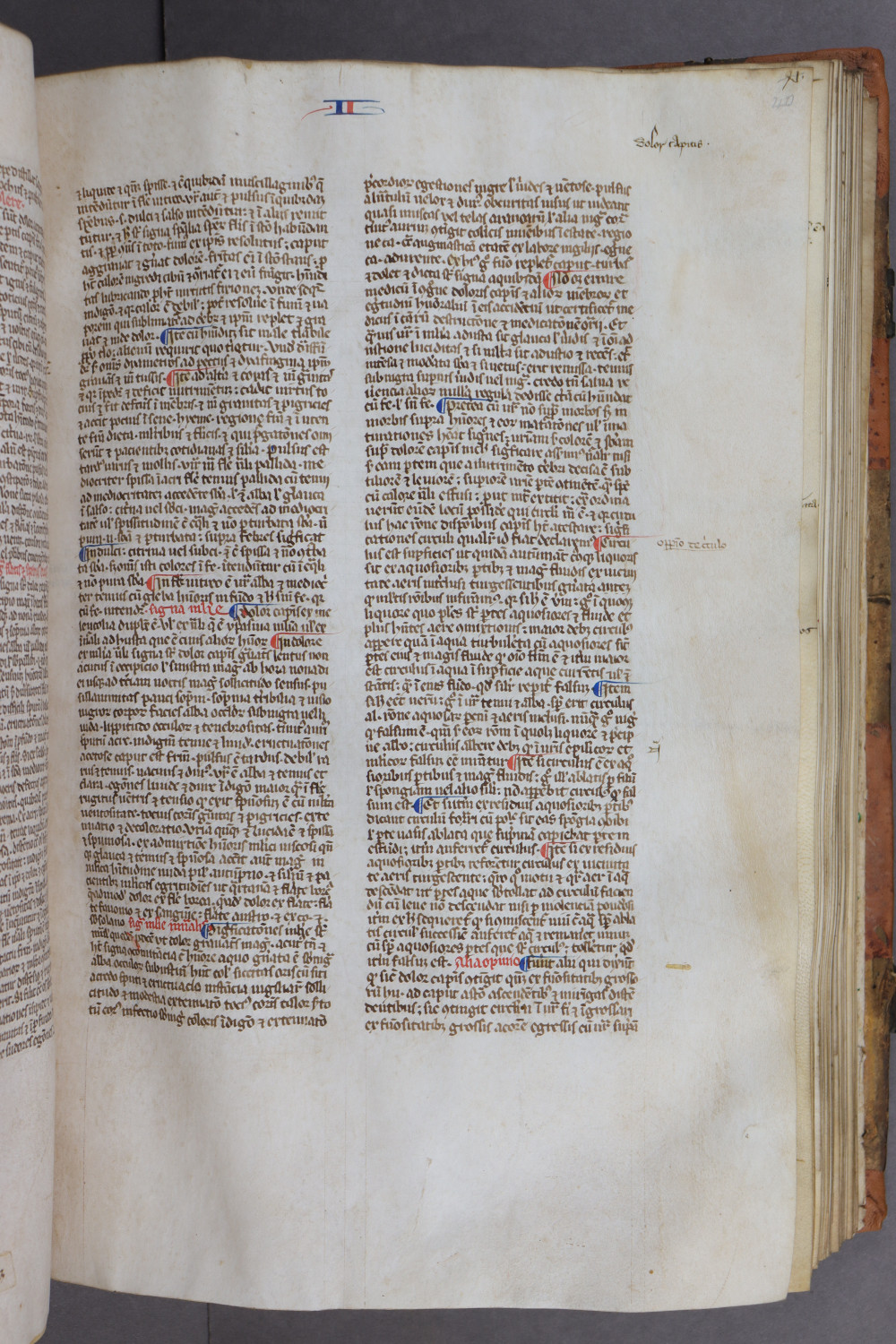 Folio 40 recto